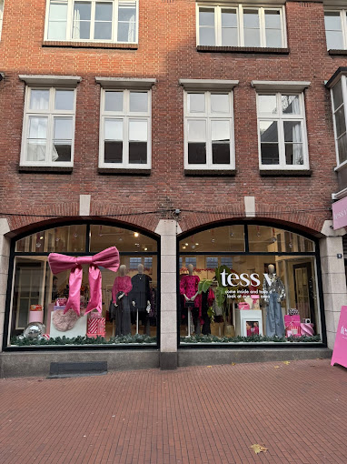 tess v store Nijmegen